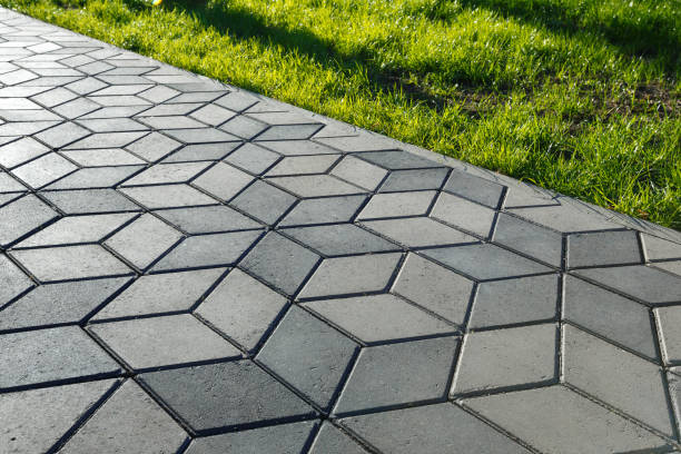 Best Local Driveway Pavers  in Porcupine, SD